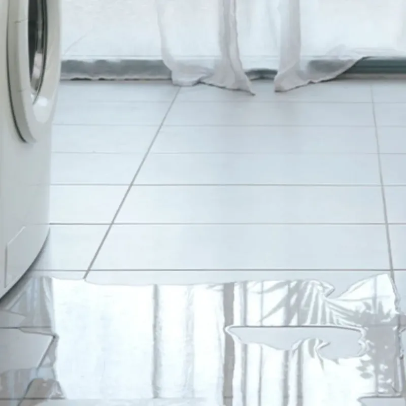 Appliance Leak Cleanup in West Dundee, IL