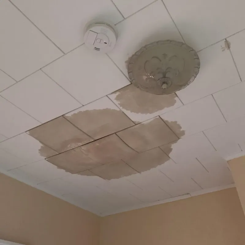 Ceiling Water Damage Repair in West Dundee, IL
